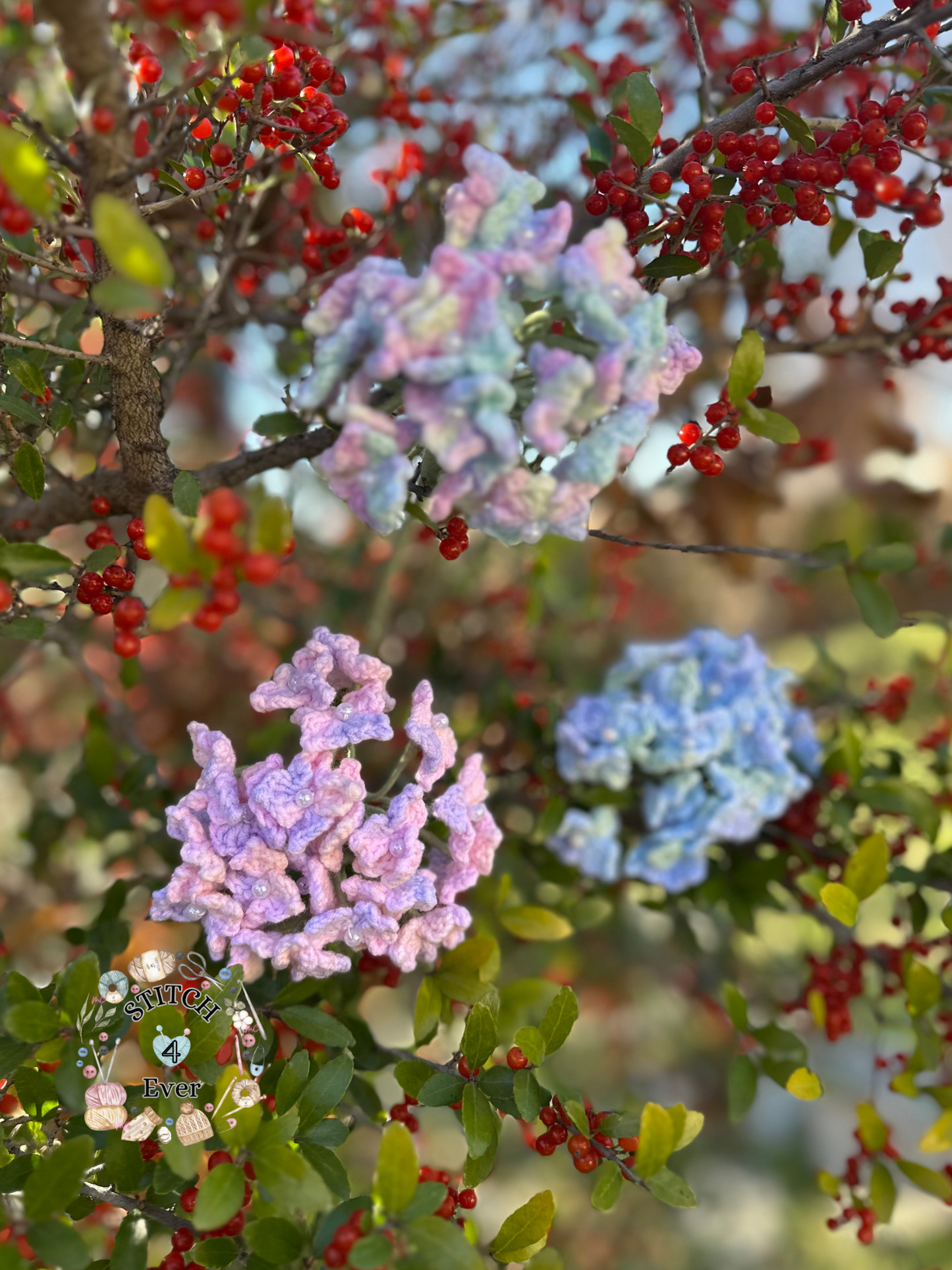 Hydrangea
