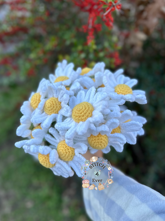 Daisy