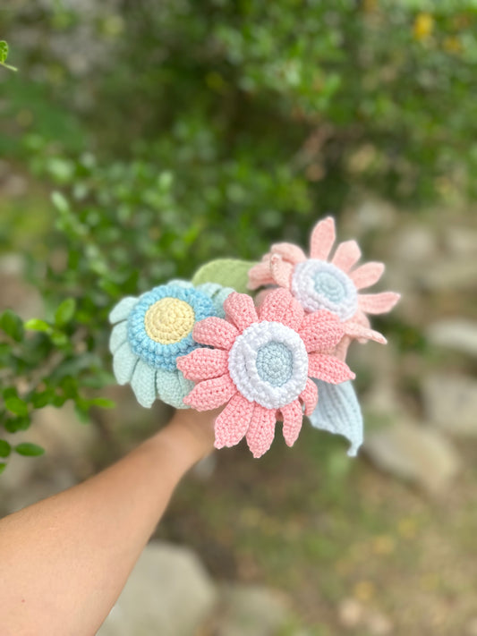 Gerbera daisy