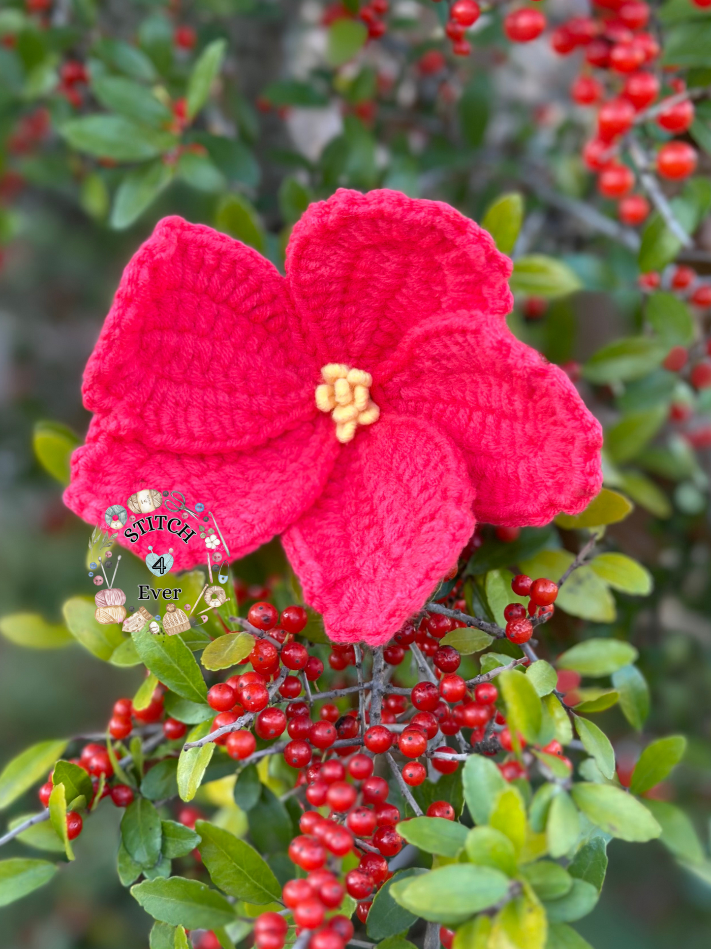 Hibiscus