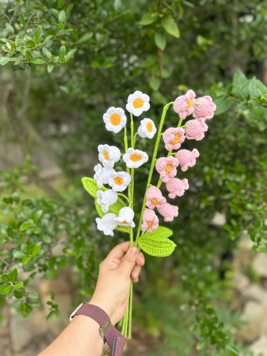 Lily of the Valley
