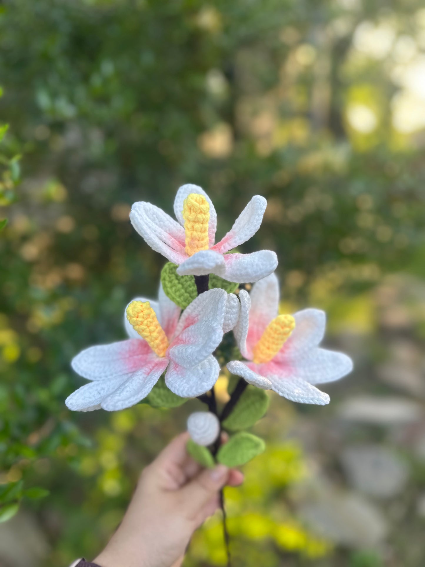 Magnolia