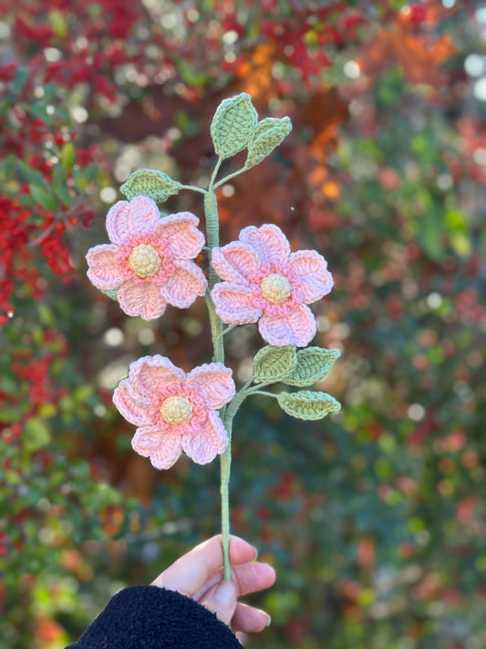 Dog Rose
