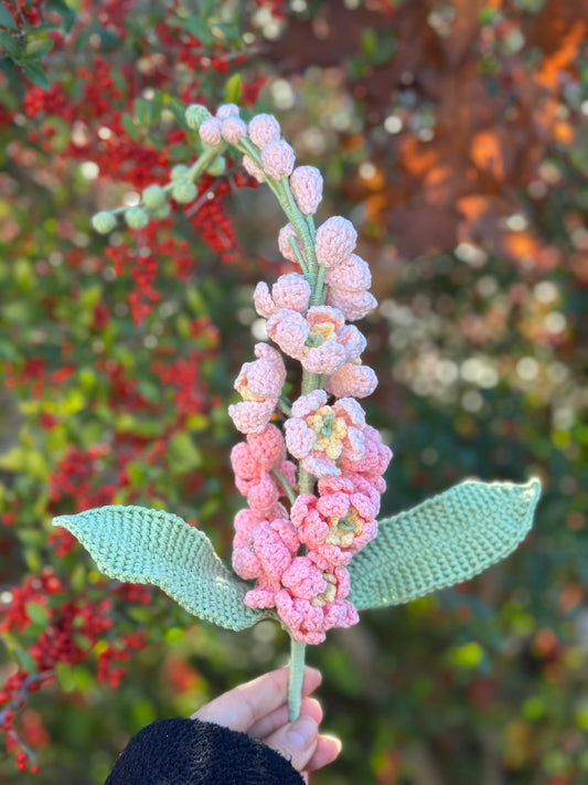 Lupine Pink