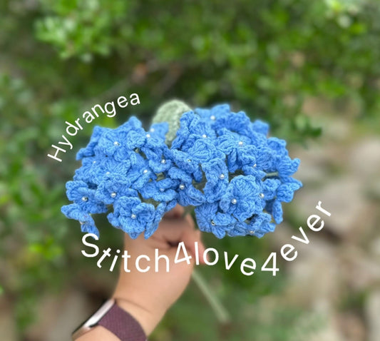 Hydrangea
