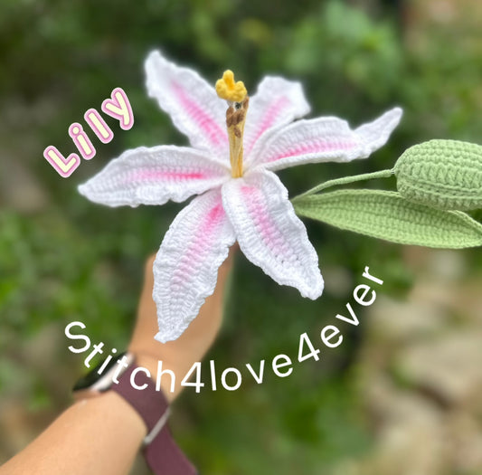 White Lily